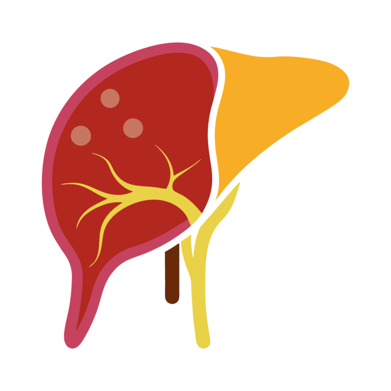 Liver Care